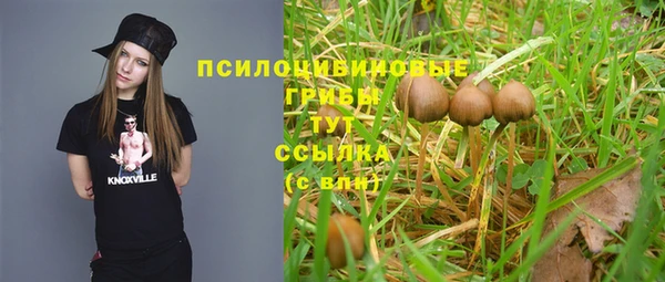 mdpv Киренск