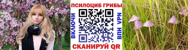 Галлюциногенные грибы ЛСД  что такое   Щёкино 